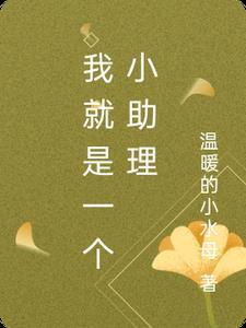 我就是一个小助理